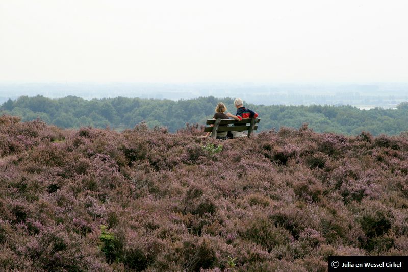 De Posbank is een stuwwal met een heuvelachtig heideveld in het Nationaal Park de Veluwezoom in Gelderland, ongeveer 10 km van Arnhem. De echte naam van het natuurgebied is Herikhuizerveld maar meestal wordt de naam Posbank gebruikt.Tip: Ga hier eens in de buurt picknicken.